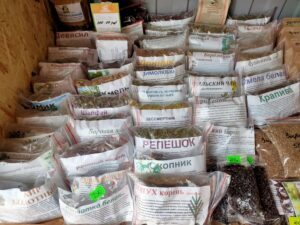 Вкус Леса в Анапе