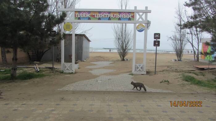В Анапе демонтируют несанкционированные киоски и заборы